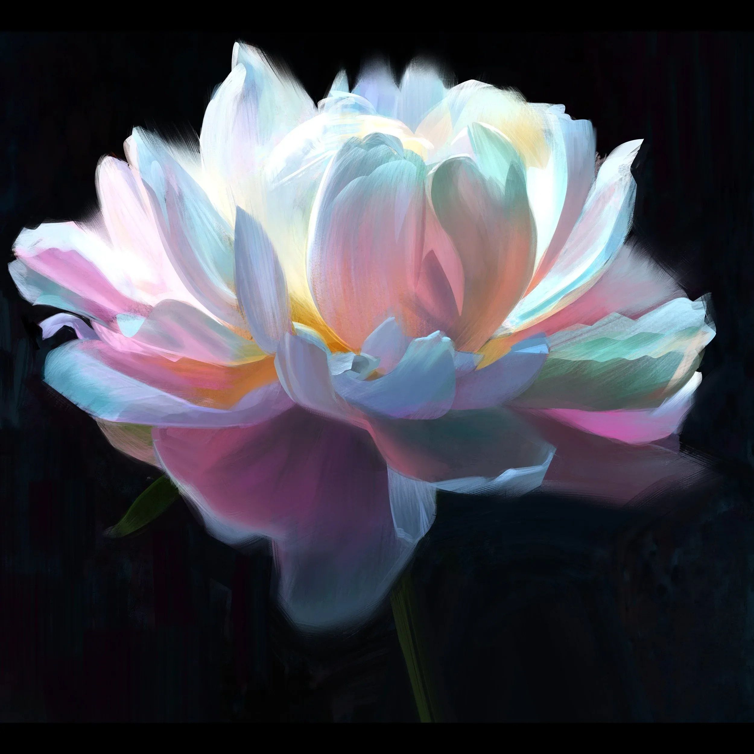Studies gallery image 11